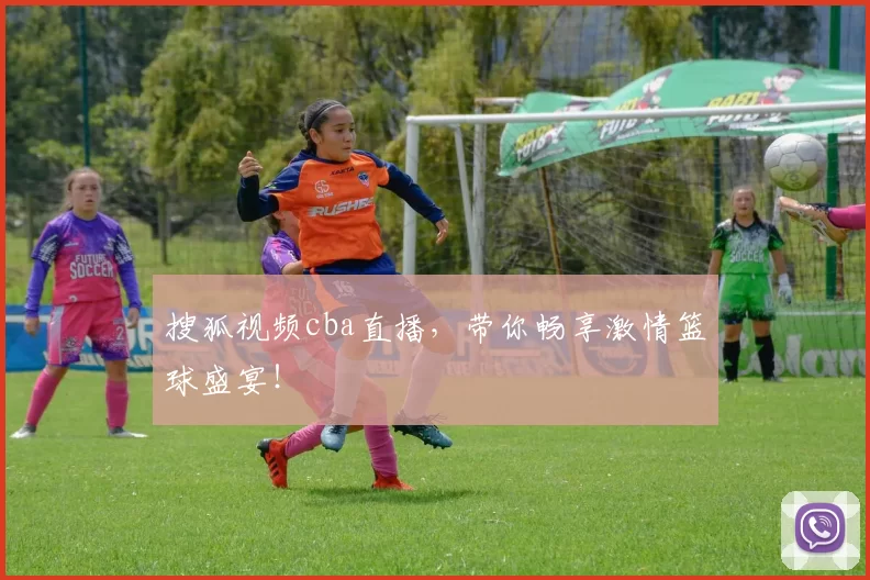 搜狐视频cba直播，带你畅享激情篮球盛宴！