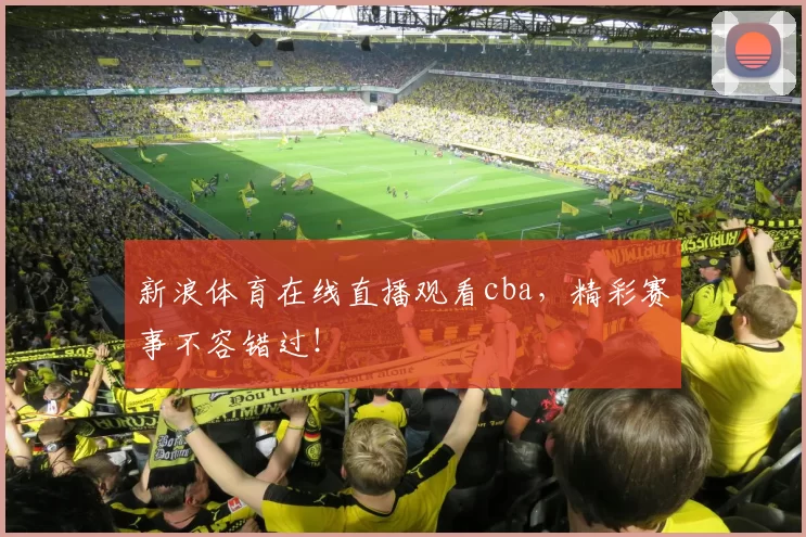 新浪体育在线直播观看cba，精彩赛事不容错过！