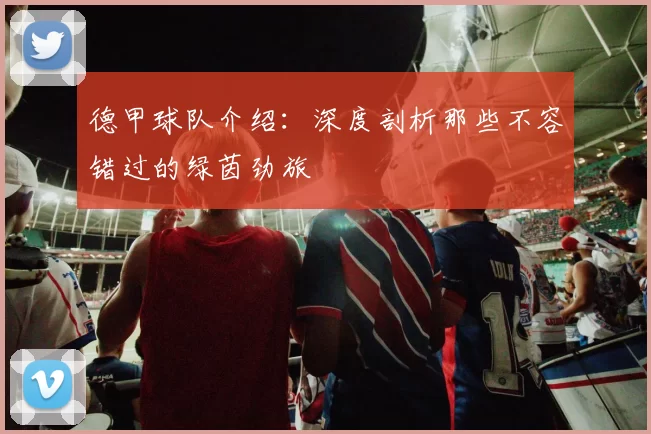 德甲球队介绍：深度剖析那些不容错过的绿茵劲旅